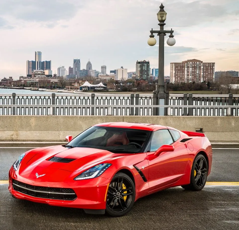Gallery image 4